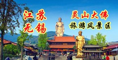 人体艺术按摩网站江苏无锡灵山大佛旅游风景区